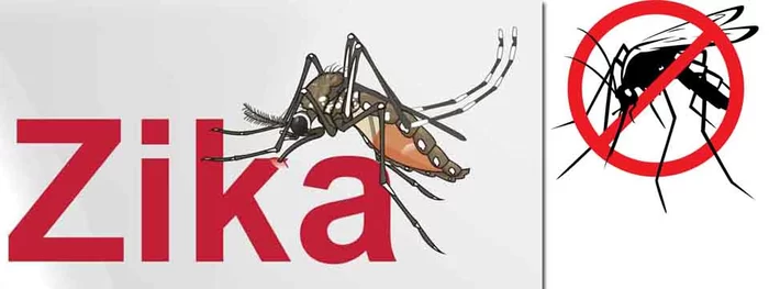 Gran avanzada para prevenir y atacar el zika en todos los municipios del Valle del Cauca