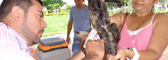 Secretaría de Salud del Valle recomienda revisar vacunación de perros y gatos ante alerta nacional por rabia