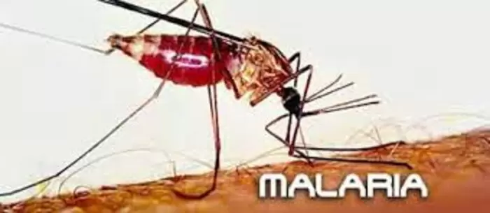 Gobernadora y comunidad científica emprenden plan en busca de eliminar la malaria en el Pacifico