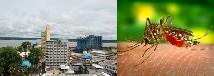 Gobierno departamental, en alerta ante aumento de malaria advertida por la OPS