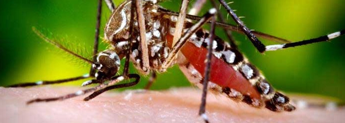 Gobierno del Valle hace parte de importantes proyectos de investigación sobre zika y biopolímeros