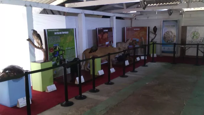 Inciva presenta exposición 'Fauna del mundo' en la Feria de Buga