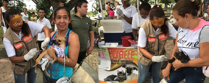 El Valle llegó a la meta del 80% de mascotas vacunadas contra la rabia