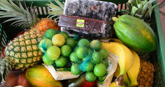 Pequeños productores agrícolas del Valle comercializan  frutas y verduras en almacenes de cadena de Cali
