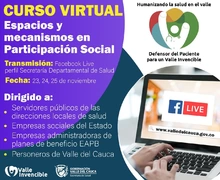Curso virtual Espacios y Mecanismos en participación Social