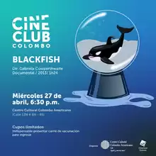 Blackfish en el Cineclub Colombo