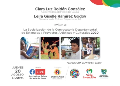 Socialización Convocatoria Departamental de Estímulos para proyectos artísticos y culturales 2020