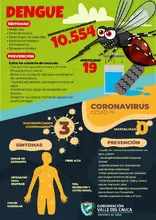 Síntomas Dengue Coronavirus