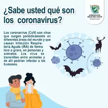 Sabe usted que son los coronavirus