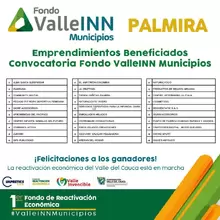 Resultados Valle INN Municipios Palmira2 2020