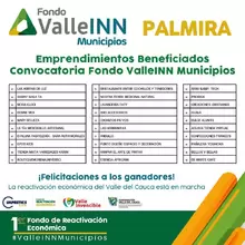 Resultados Valle INN Municipios Palmira3 2020