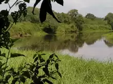 Humedal La Guinea