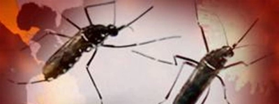 Lanzan Plan de Contingencia contra el zika en Buenaventura