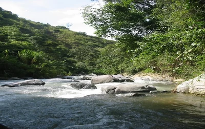 A segunda fase, proyecto para la restauración y protección  de cuencas prioritarias en el Valle del Cauca
