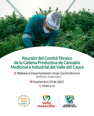 Comité Técnico de la Cadena Productiva de Cannabis Medicinal e Industrial sesiona este jueves