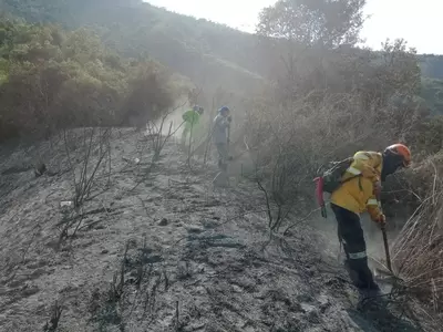 Gobierno del Valle monitorea acciones para combatir incendio forestal en zona rural de Yotoco