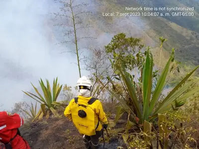 Organismos de socorro de cuatro municipios trabajan para controlar incendios forestales en Pradera