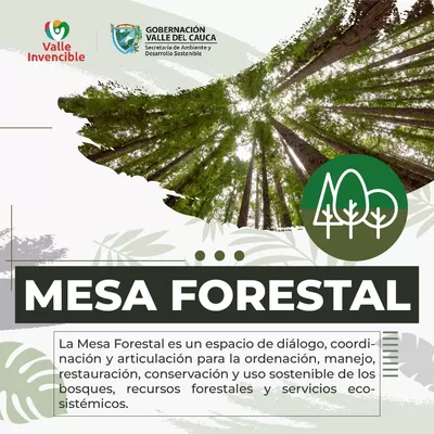 Comunidades, a participar de la Mesa Departamental Forestal