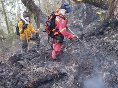 Urgente llamado a la Nación para activar protocolo aéreo para controlar incendios forestales en cuatro municipios