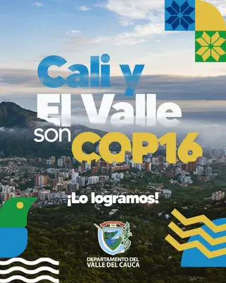 Vallecaucanos y caleños están felices por conseguir la sede de la COP16