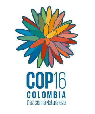 Este es el significado de los 36 pétalos de la flor símbolo de la COP16