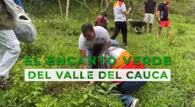 El encanto verde del Valle del Cauca