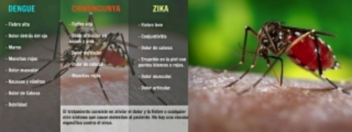 Nuevas estrategias para frenar el zika en el Valle