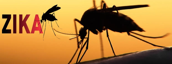 Salud adelanta estudios sobre casos de malformaciones relacionadas con zika