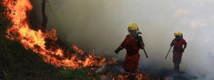 Alcaldes del Valle deben tomar medidas  para evitar incendios forestales