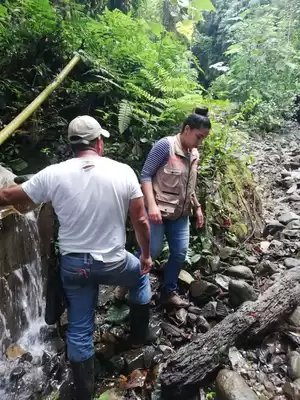 Cuencas hídricas recuperadas garantizan agua  para más de 53 mil familias vallecaucanas