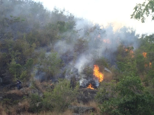 Monitorean temporada seca en el Valle del  Cauca ante posibles incendios forestales