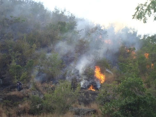 Temporada seca ha generado once incendios forestales en el Valle del Cauca
