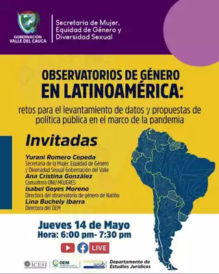 Invitación Panel Observatorios de género en Latinoamérica: retos y propuestas de política pública en el marco de la pandemia