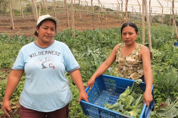 Valle Compra Valle’ impulsa la venta de productos agrícolas en  oferta para abastecer la canasta familiar de los vallecaucanos