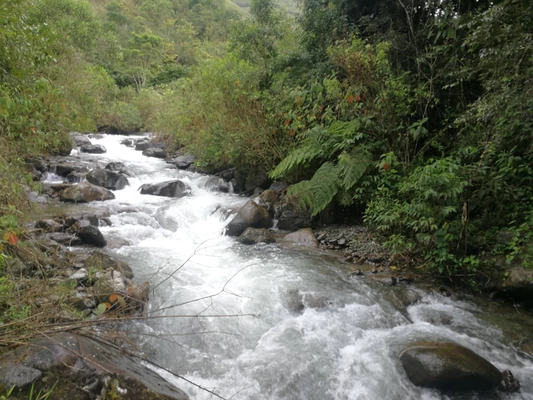 Gobierno del Valle entregará incentivos a propietarios de predios de Pance y Jamundí para que cuiden las cuencas