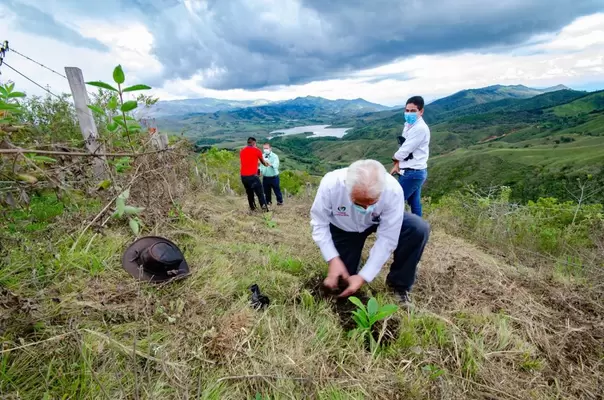 8.700 árboles plantados en las cuencas hidrográficas prioritarias,  dejan las jornadas de siembra en busca de un ‘Valle más verde’
