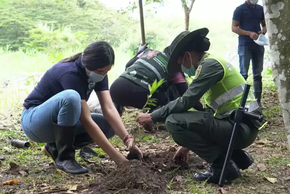 En el Ecoparque del Río Pance fueron sembrados 500 árboles nativos