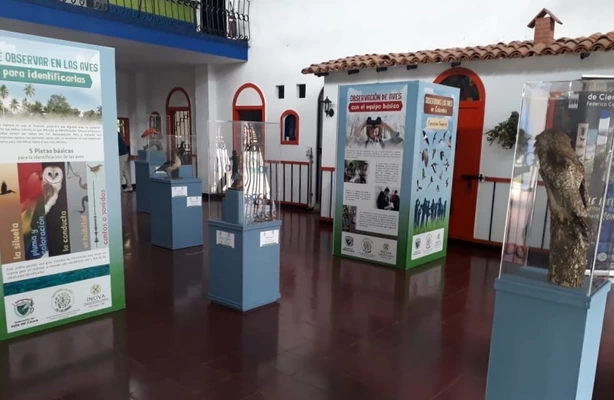 Exposición ‘Observando Aves de Colombia’ llegó al Club del Departamento