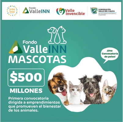 Se apertura convocatoria Fondo Valle INN Mascotas 2021
