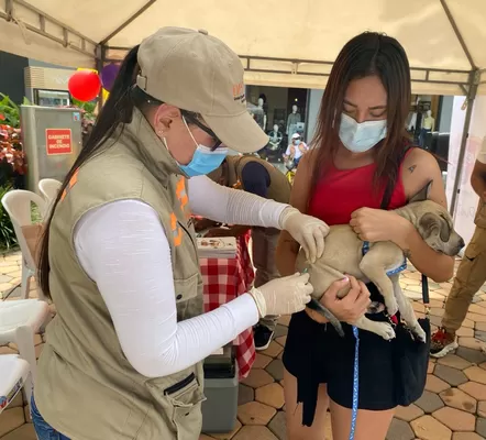 Más de 63 mil animales de compañía han sido inmunizados contra la rabia en el Valle