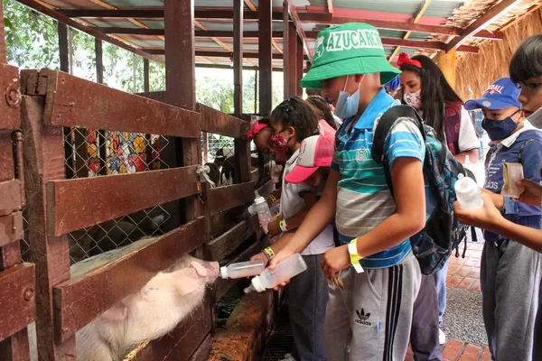 En un nuevo recorrido de ‘Recréate y Conoce Tu Valle’ 210 niños disfrutaron de una experiencia en la granja interactiva
