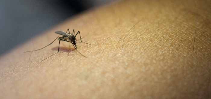 Autoridades de Salud del Valle hacen llamado a la consulta oportuna por dengue ante aumento de la letalidad por esta enfermedad