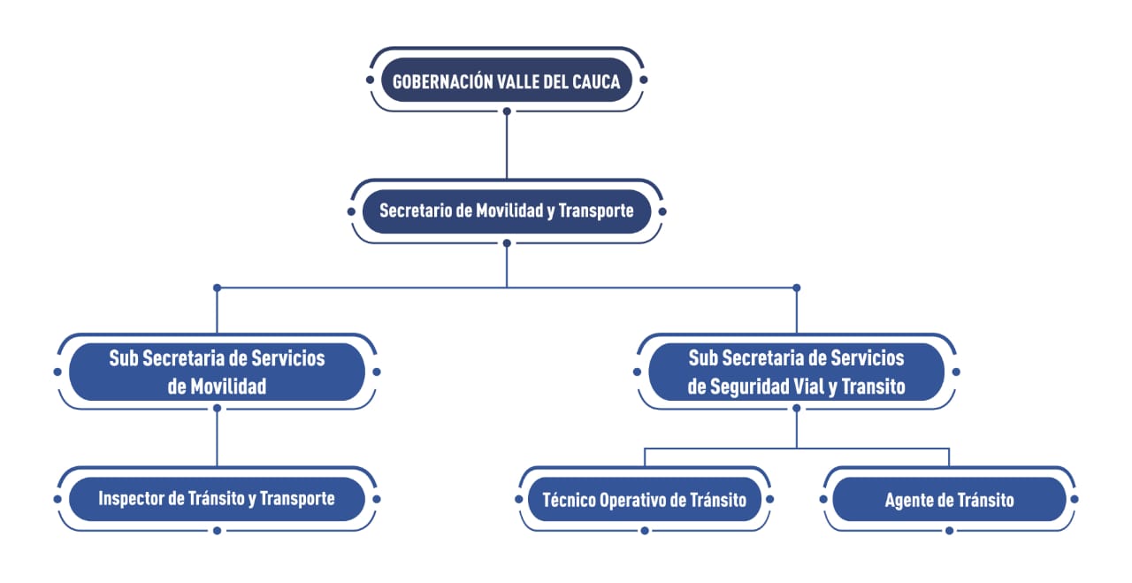 Estructura Organizacional 2019